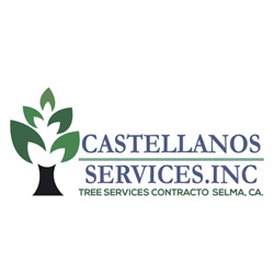 Image for Castellanos Tree Services with ID of: 6057154
