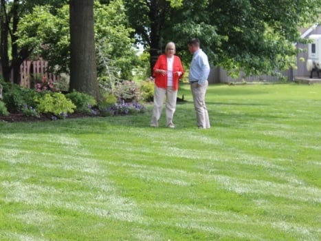 Image for Ryan Lawn & Tree with ID of: 4713399