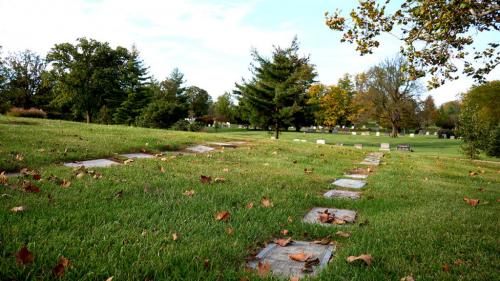 Image for Ferncliff Cemetery and Arboretum with ID of: 4715061