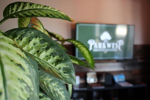 Image for ParkWest Creative Solutions with ID of: 4716055