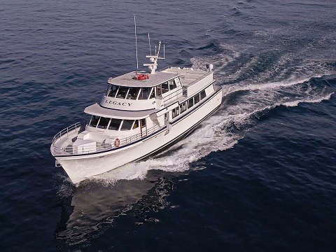 Image for Legacy Whale Watch with ID of: 4716477