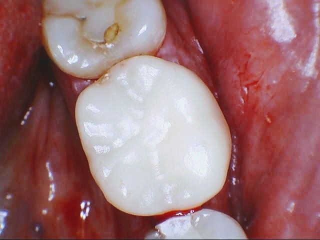 Image for Mayani Dental Group with ID of: 4718208