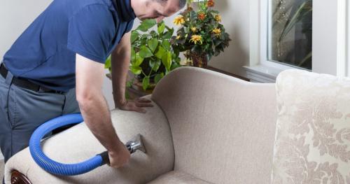 Image for Steam Action Carpet Cleaning with ID of: 4719110