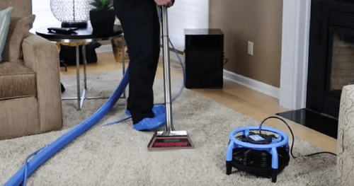 Image for Steam Action Carpet Cleaning with ID of: 4719114