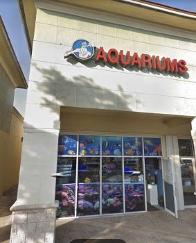 Image for Neptunes Aquariums with ID of: 4723511