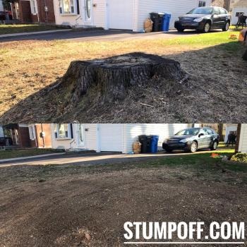 Image for Stump 
