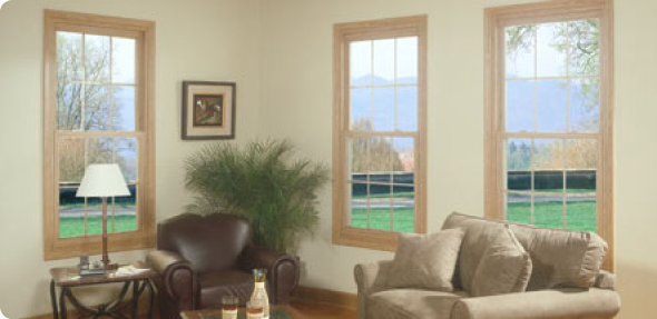 Image for AZ Valley Windows, LLC with ID of: 606529