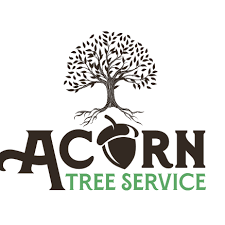 Image for Acorn Tree Service with ID of: 6068018