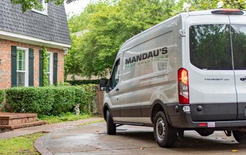Image for Mandau's Pest Solutions with ID of: 4732416