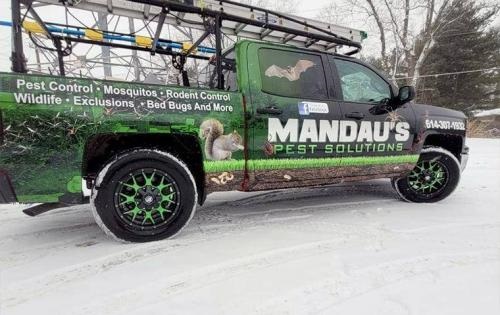 Image for Mandau's Pest Solutions with ID of: 4732418