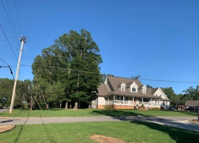 Image for Walker's Tree Service with ID of: 4735789