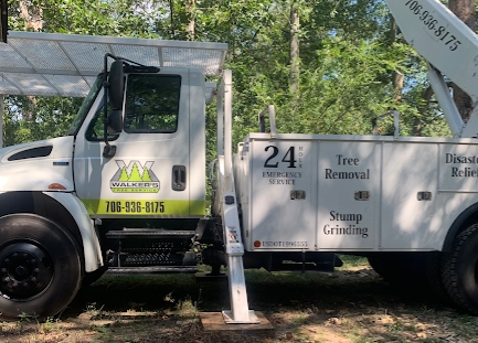 Image for Walker's Tree Service with ID of: 4735791