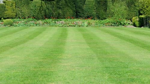 Image for Monson Lawn & Landscaping with ID of: 4736730