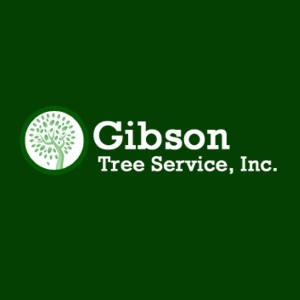 Image for tree cabling charleston wv with ID of: 6070836