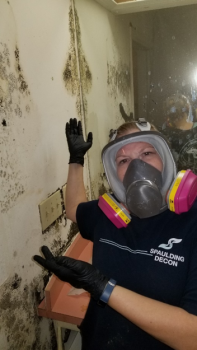 Image for Spaulding Decon with ID of: 4743740