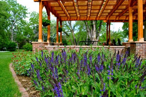 Image for Green Landscape Solutions with ID of: 4745500