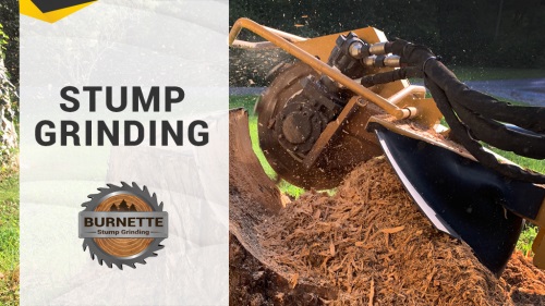 Image for Burnette Stump Grinding with ID of: 4747420