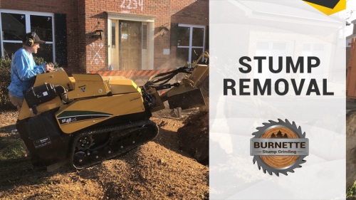 Image for Burnette Stump Grinding with ID of: 4747424