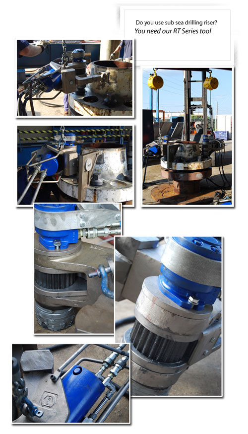 Image for Torq/Lite with ID of: 607827