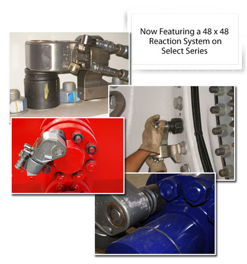 Image for Torq/Lite with ID of: 607828