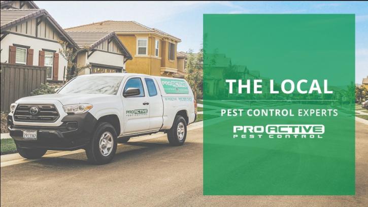 Image for Pro Active Pest Control with ID of: 3995987