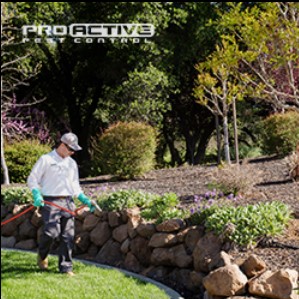 Image for Pro Active Pest Control with ID of: 3995992