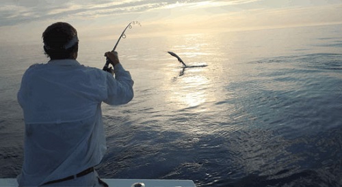 Image for Southpaw Fishing Key West with ID of: 4750961