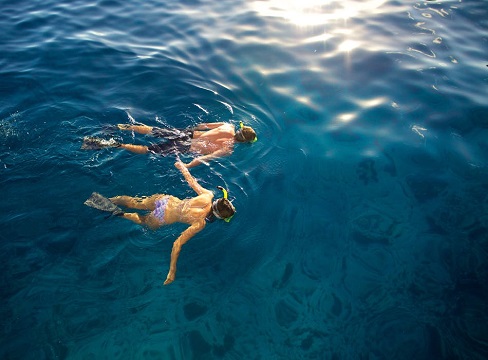 Image for Easy Day Charters with ID of: 4753636