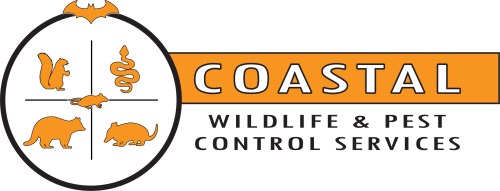 Image for Coastal Wildlife & Pest Services with ID of: 6082580