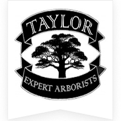 Image for Taylor Expert Arborists with ID of: 6083324