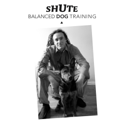 Image for Shute Balanced Dog Training with ID of: 6084999