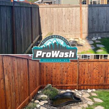 Image for Pacific Northwest ProWash with ID of: 4766039