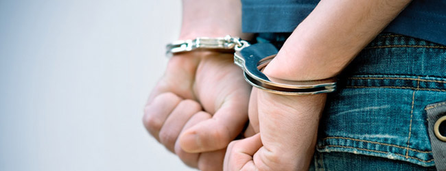 Image for Action Legal Group, PLLC with ID of: 608802