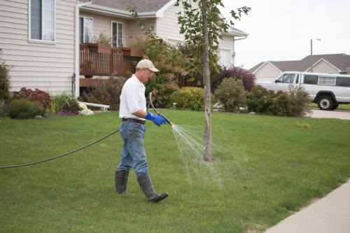 Image for Everhart Landscaping with ID of: 4767974
