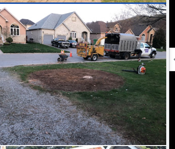 Image for Amir Tree Services Inc. with ID of: 6092708