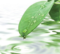 Image for Preventive Pest Control with ID of: 609763