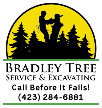 Image for Bradley Tree Service & Excavating with ID of: 6099021