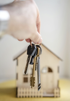 Image for Milton Airbnb Management with ID of: 6099205