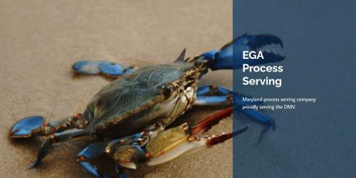 Image for EGA Process Serving with ID of: 4787793