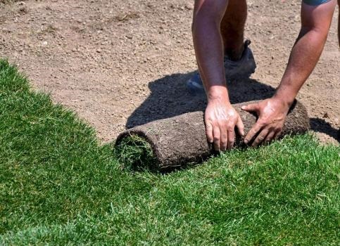 Image for Orange County Landscaping Pros with ID of: 4789707