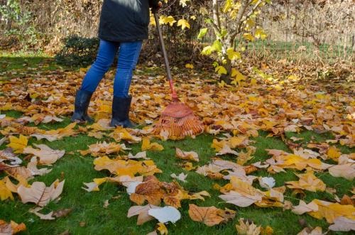 Image for Orange County Landscaping Pros with ID of: 4789710