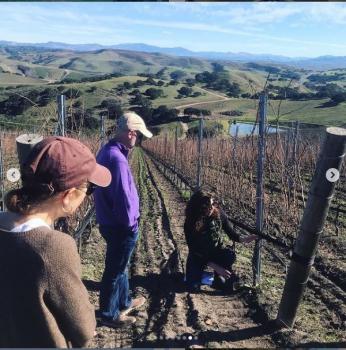 Image for Appellation Wine Tours (Santa Barbara) with ID of: 4791460