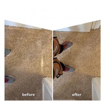 Image for Raleigh Carpet Repair & Cleaning with ID of: 4798761