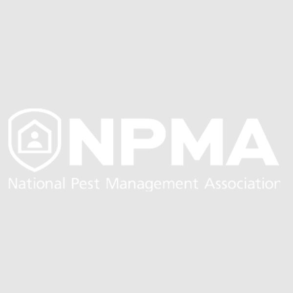 Image for Insight Pest Solutions Nashville with ID of: 4802674