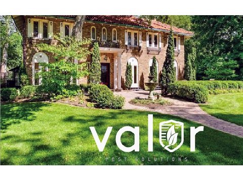 Image for Valor Pest Solutions St Paul with ID of: 4802706