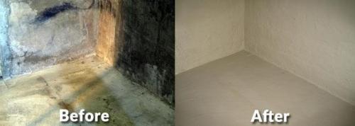 Image for C.A.R.E. Property Services with ID of: 4808562