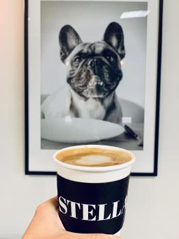 Image for Stella Coffee Beverly Hills with ID of: 4809841