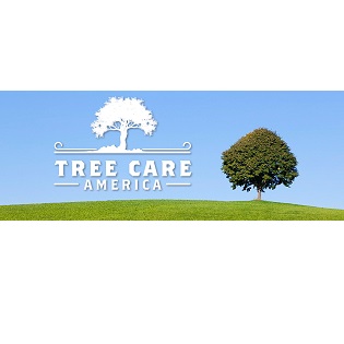 Image for Tree Care America with ID of: 4813268