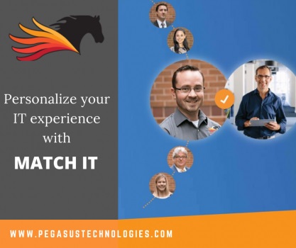 Image for Pegasus Technologies, LLC with ID of: 4817818