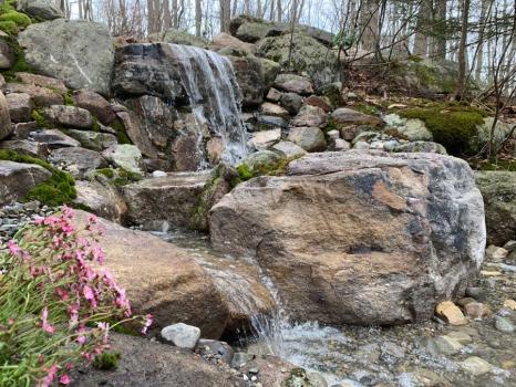 Image for Sierra Landscape Management LLC with ID of: 4819525